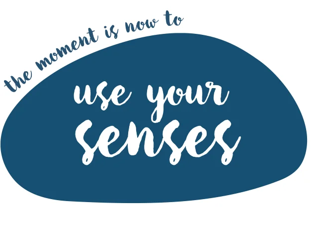 The pebble says Use your senses